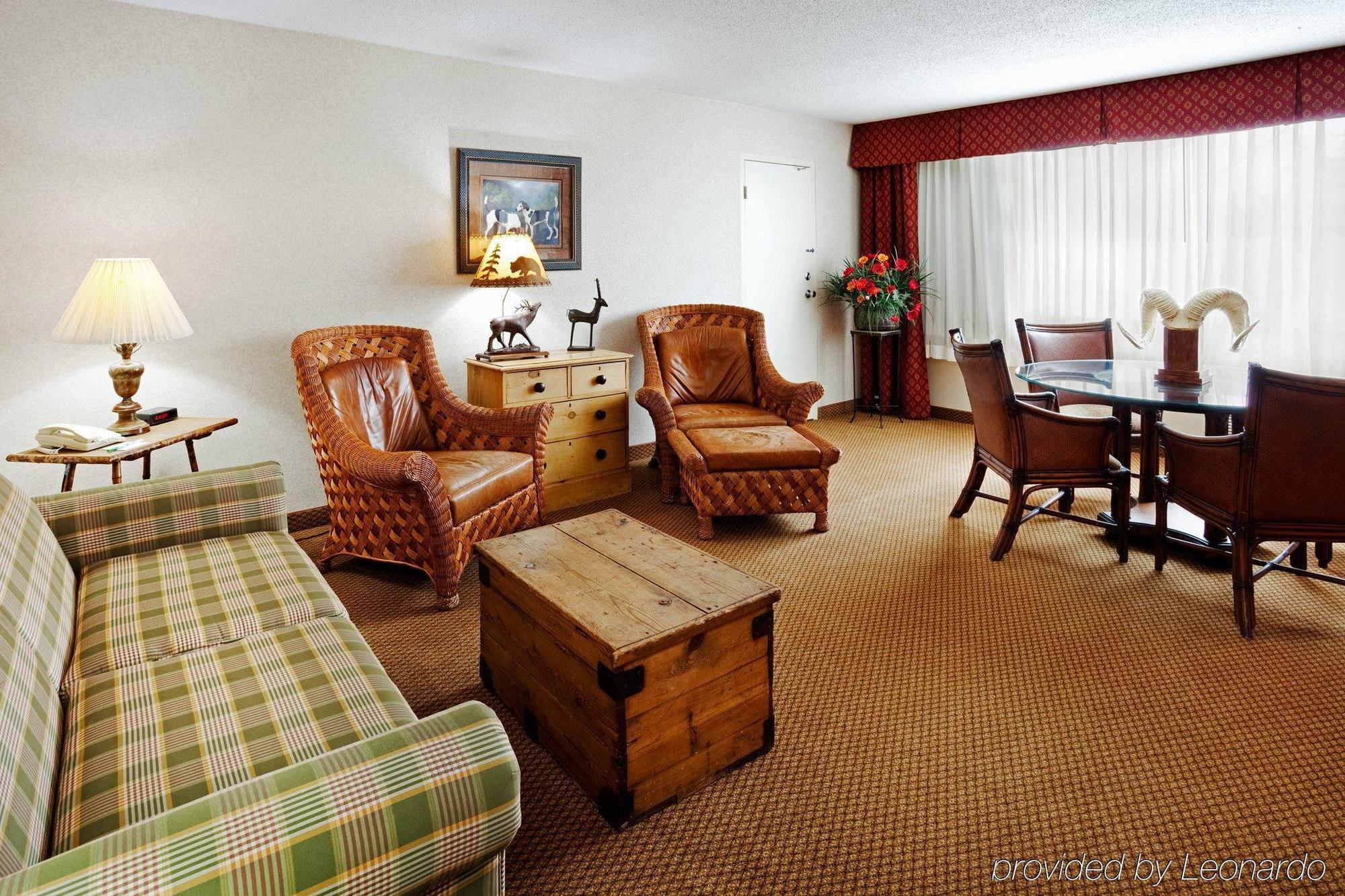 Holiday Inn Asheville East-Blue Ridge Pkwy, An Ihg Hotel Room photo