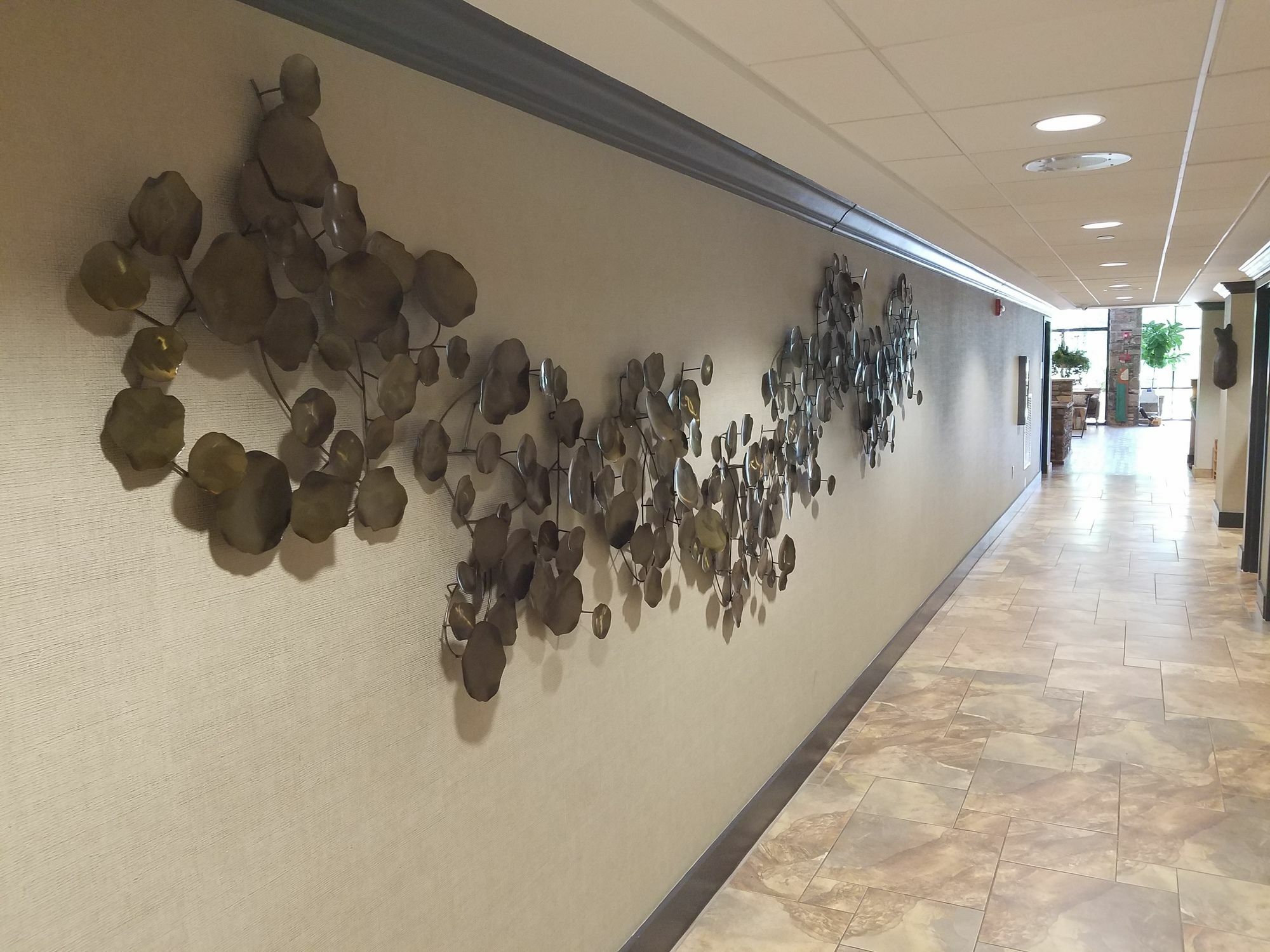 Holiday Inn Asheville East-Blue Ridge Pkwy By Ihg Exterior photo
